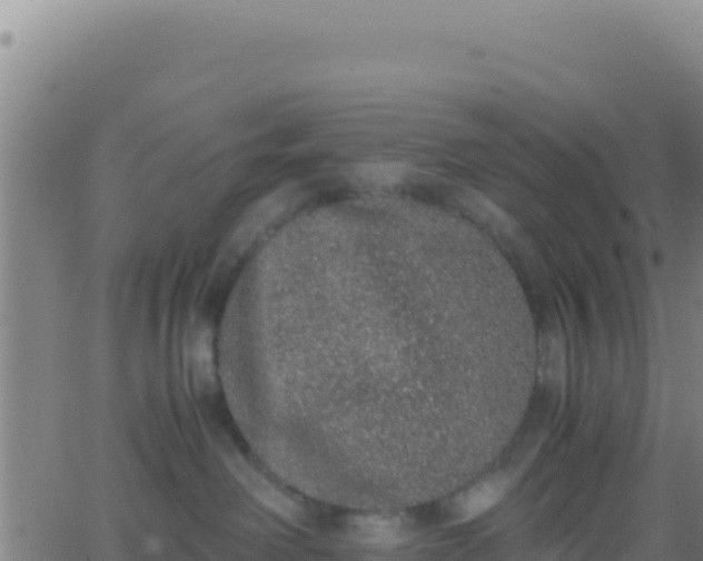 X0000062930238200601202034