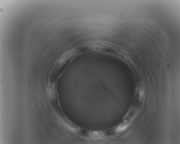 X0000062930239200601202034