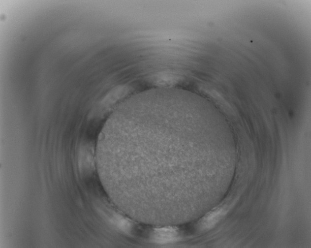 X0000062930240200601202034