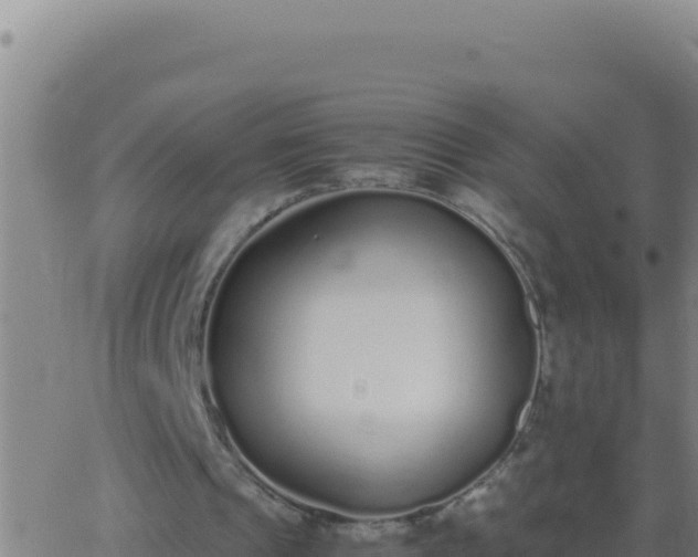 X0000062930241200601202034