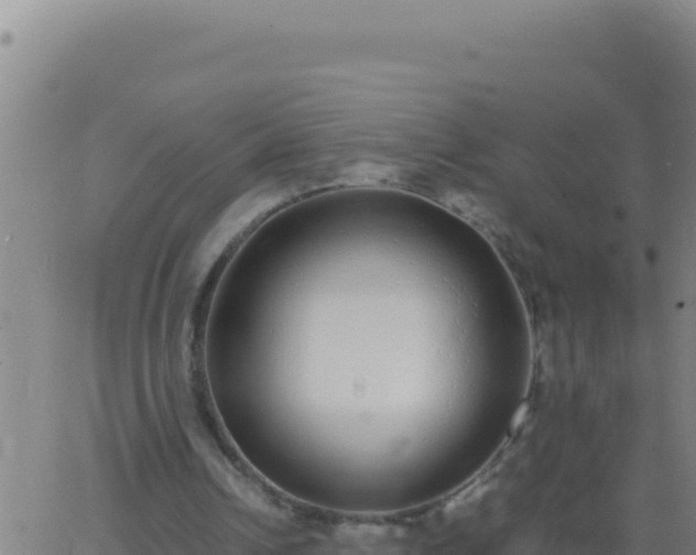 X0000062930242200601202034