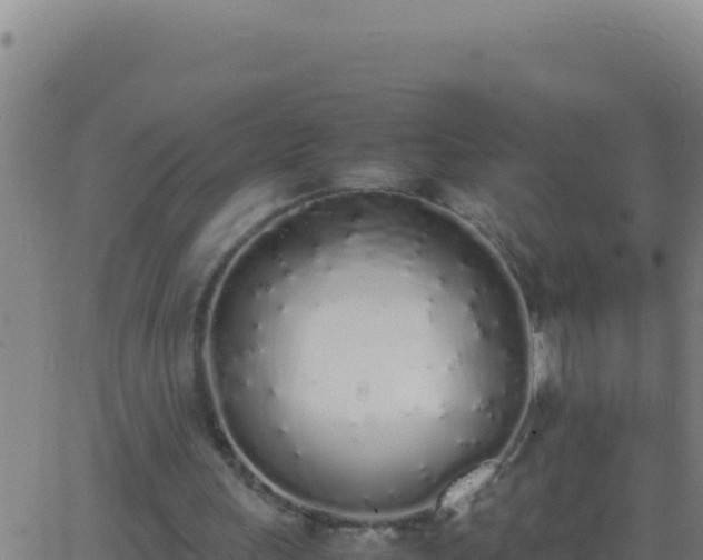 X0000062930243200601202034