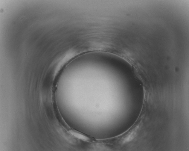 X0000062930244200601202034