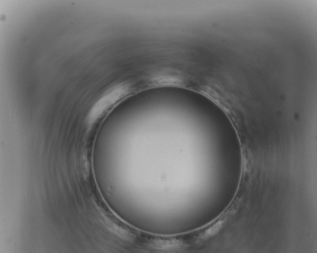 X0000062930245200601202034