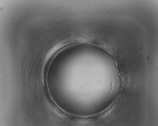 X0000062930246200601202034