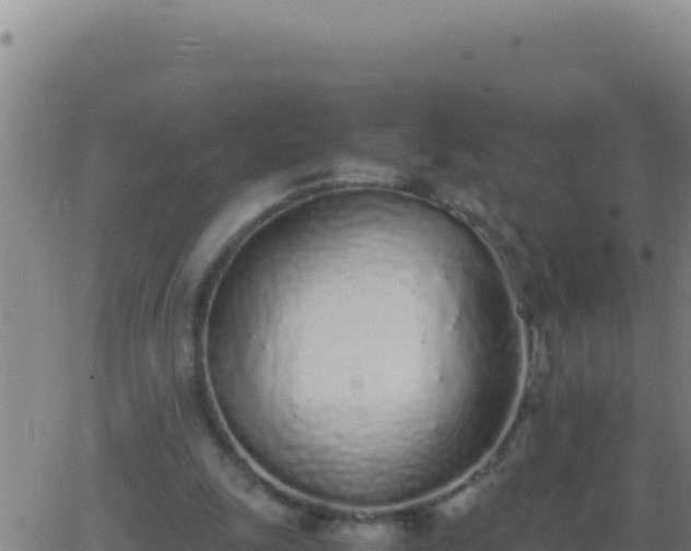 X0000062930247200601202034