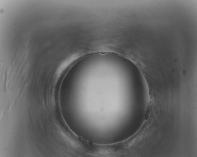 X0000062930248200601202034