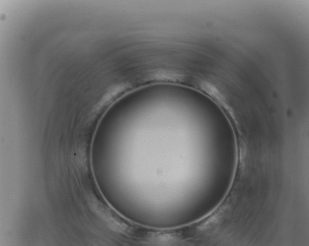 X0000062930249200601202034