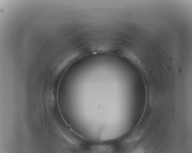 X0000062930251200601202034