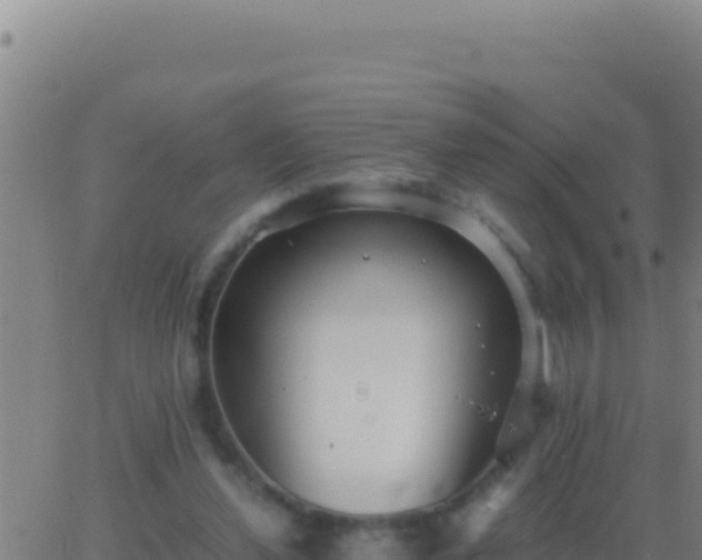 X0000062930252200601202034