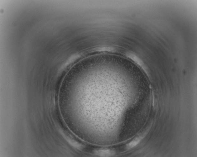 X0000062930253200601202034