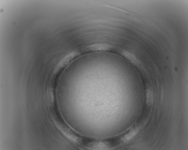 X0000062930254200601202034