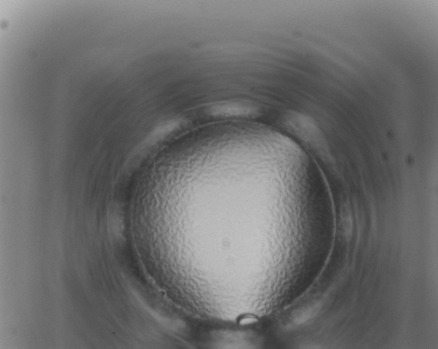 X0000062930255200601202034