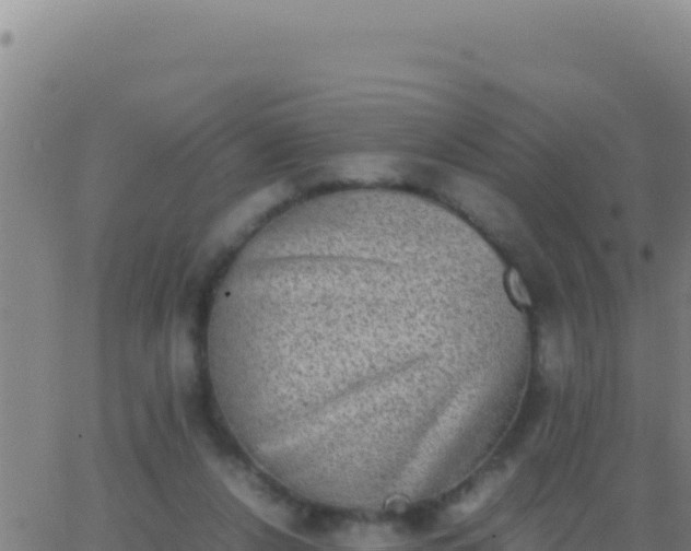 X0000062930256200601202034