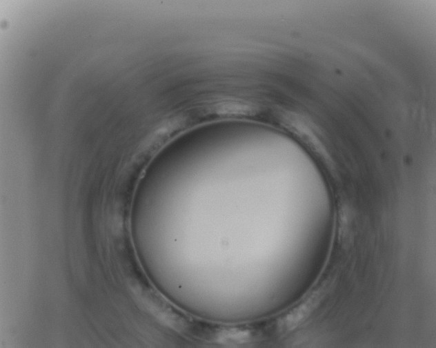 X0000062930257200601202034