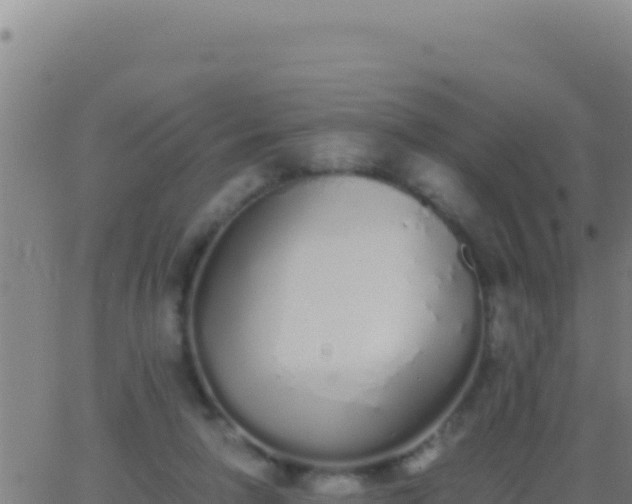 X0000062930258200601202034