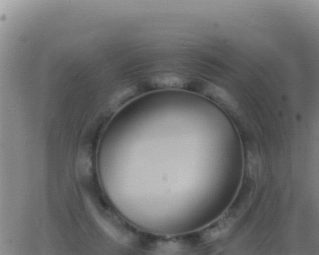 X0000062930259200601202034