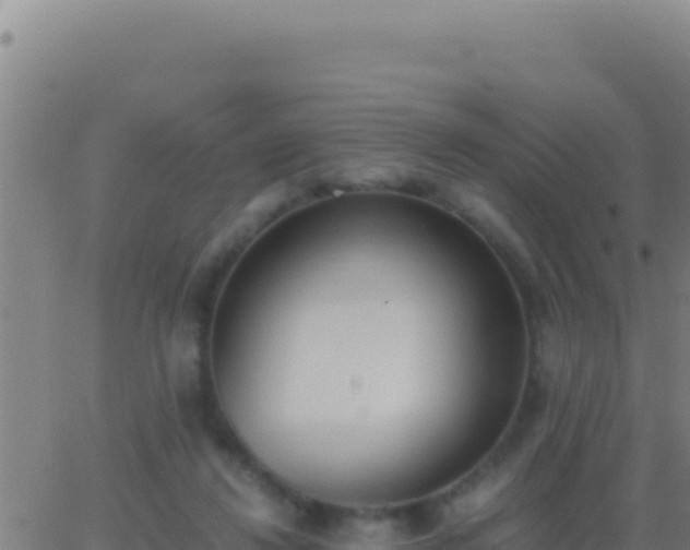 X0000062930260200601202034