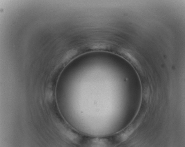 X0000062930261200601202034