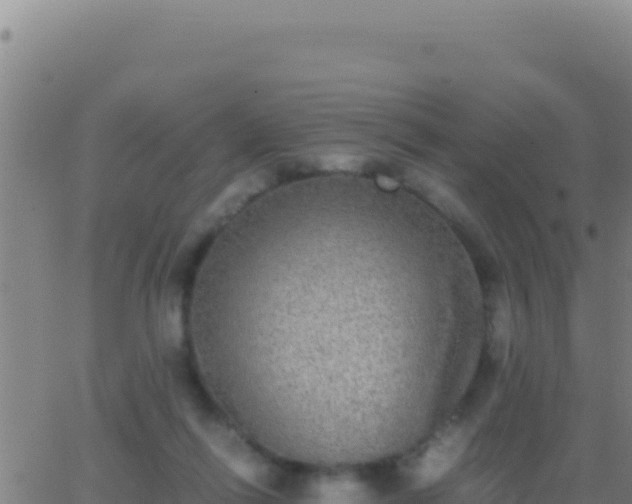 X0000062930262200601202034