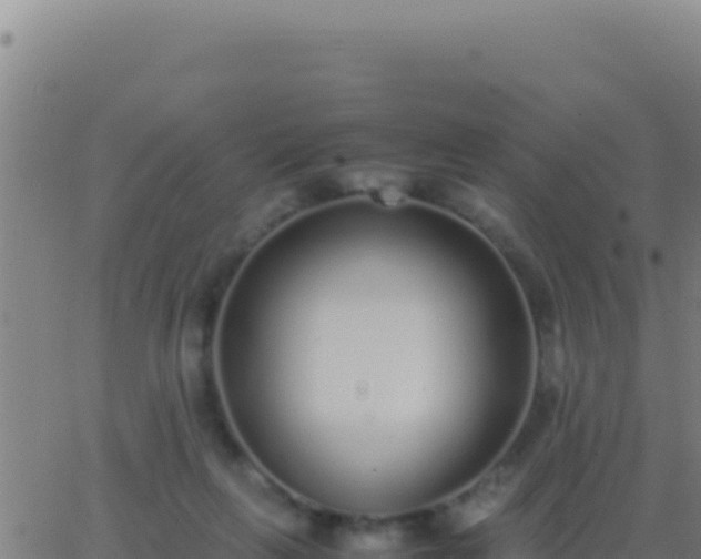 X0000062930263200601202034