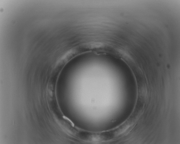 X0000062930264200601202034