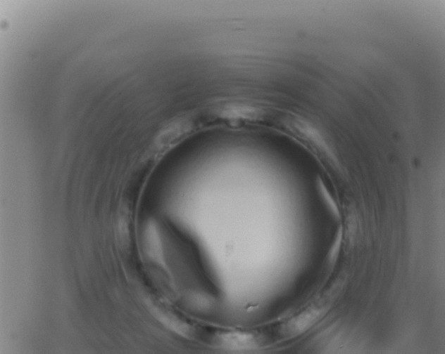 X0000062930265200601202034