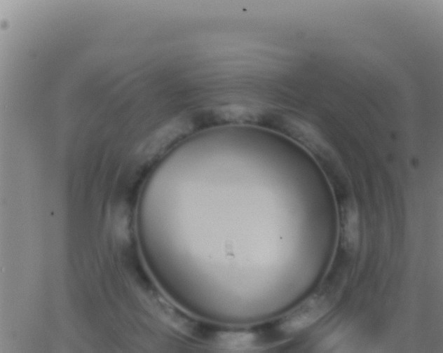 X0000062930266200601202034