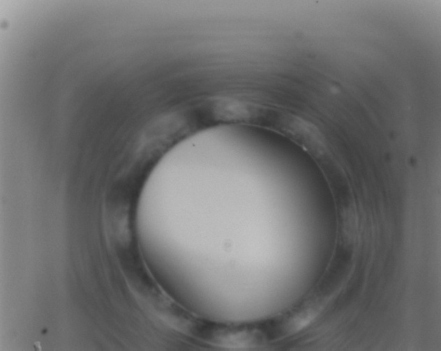 X0000062930267200601202034