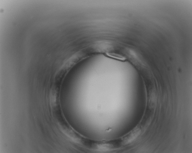 X0000062930268200601202034