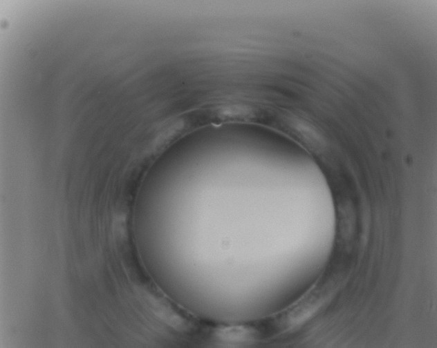 X0000062930269200601202034