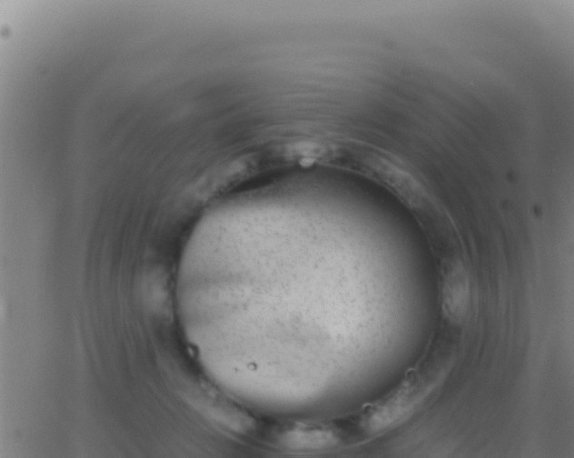 X0000062930270200601202034