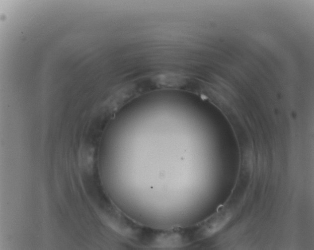 X0000062930271200601202034