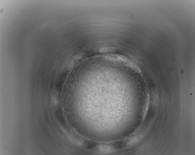 X0000062930272200601202034