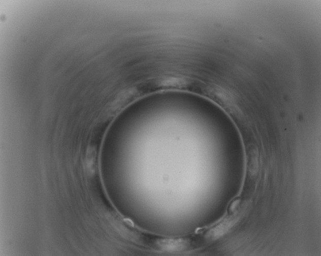 X0000062930273200601202034