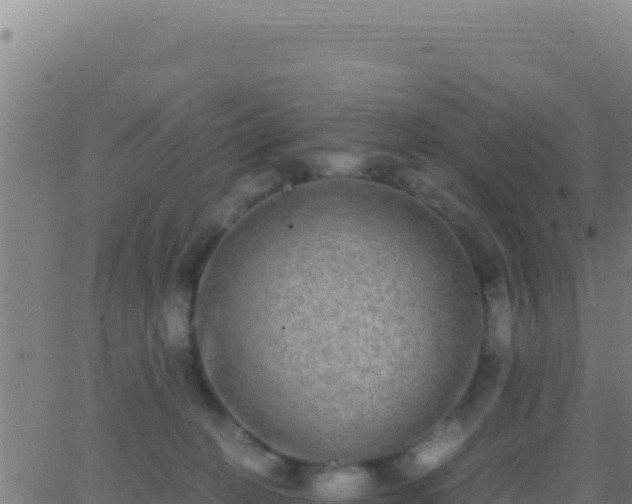 X0000062930274200601202034