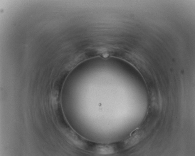 X0000062930275200601202034