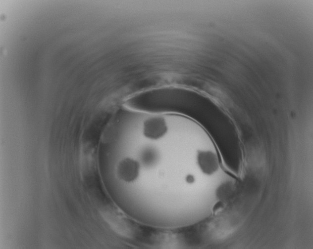 X0000062930276200601202034