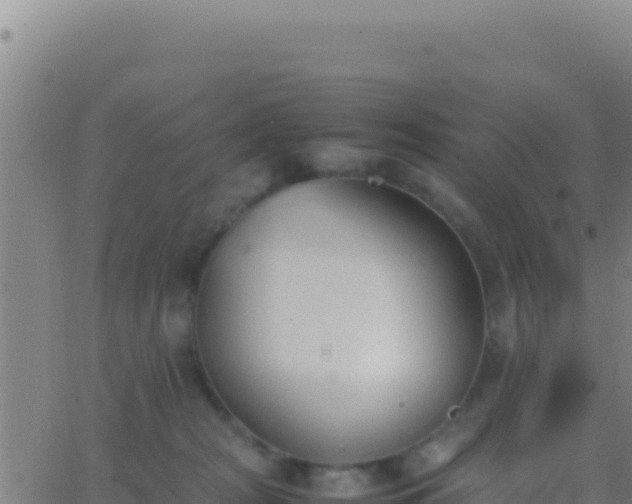 X0000062930277200601202034