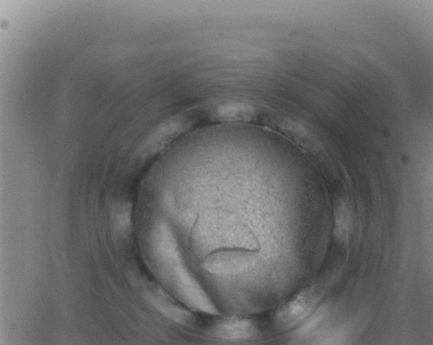 X0000062930278200601202034