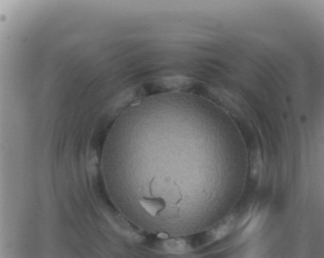 X0000062930279200601202034