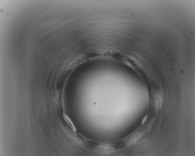 X0000062930280200601202034