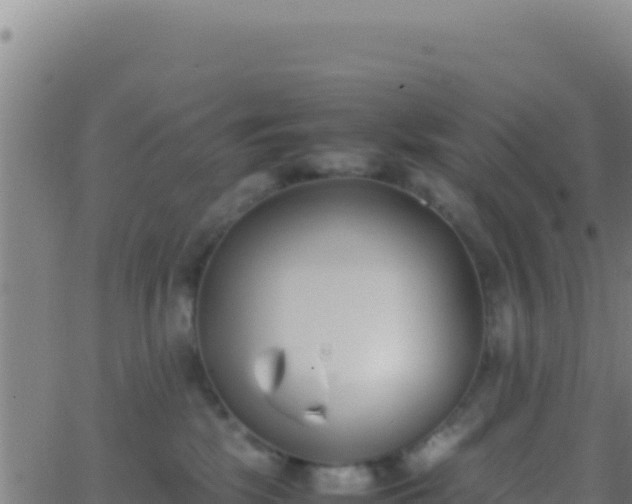 X0000062930281200601202034