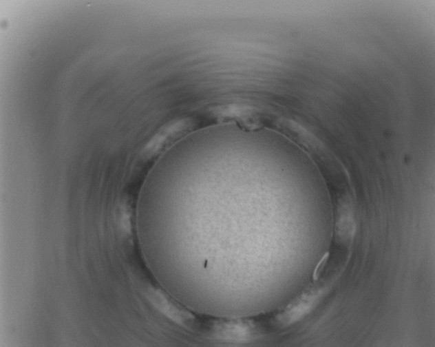 X0000062930282200601202034