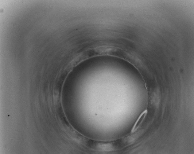 X0000062930283200601202034