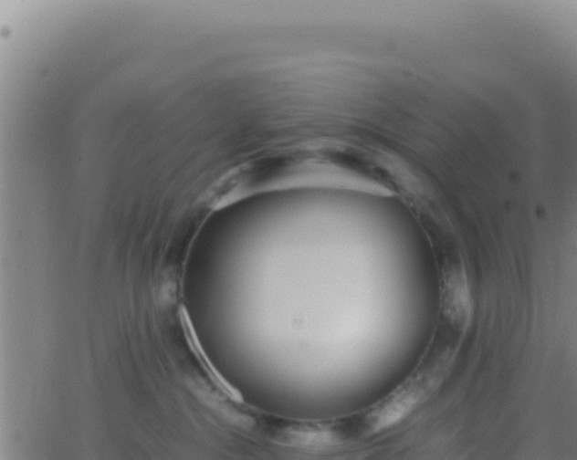 X0000062930284200601202034