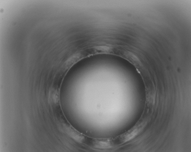 X0000062930285200601202034