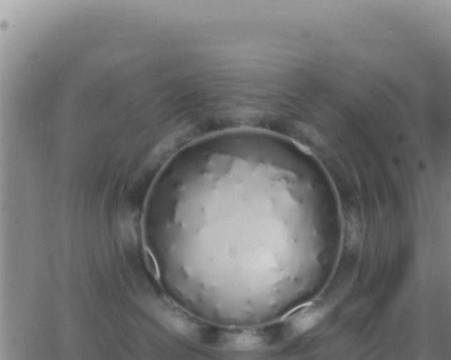 X0000062930286200601202034