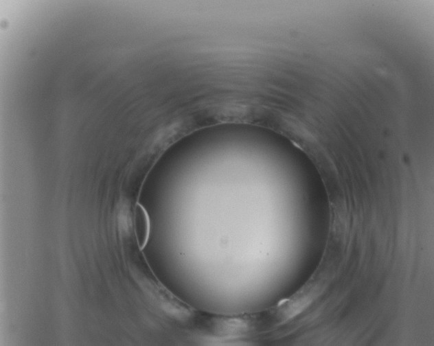 X0000062930287200601202034