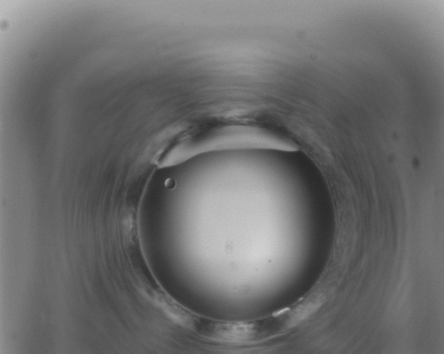 X0000062930288200601202034